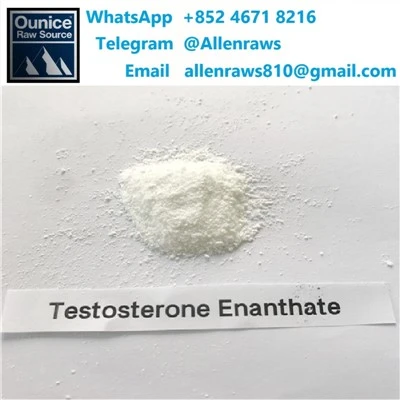 Testostérone ENanthate Body Bodyfing Effets Powder Raw Poudre
